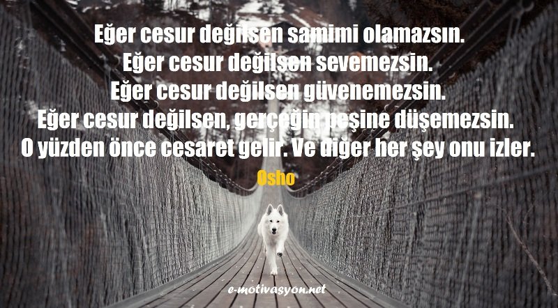 Cesaret Özlü Sözleri   E-Motivasyon